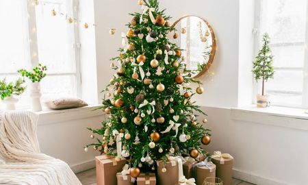 Guardar el árbol de Navidad marca el cierre definitivo de las Fiestas y el comienzo del nuevo año. Guardar el árbol de Navidad marca el cierre definitivo de las Fiestas y el comienzo del nuevo año.
