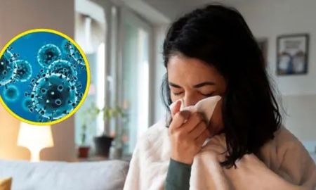 La gripe H3N2 preocupa por la baja vacunación y el abandono de hábitos básicos de cuidado. La gripe H3N2 preocupa por la baja vacunación y el abandono de hábitos básicos de cuidado.