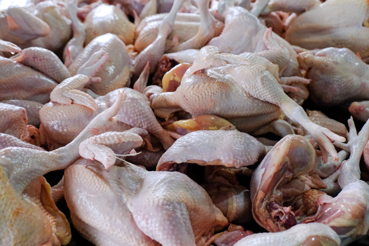 El precio del pollo se duplicó en el último año y creció bastante por encima del promedio general de la inflación.