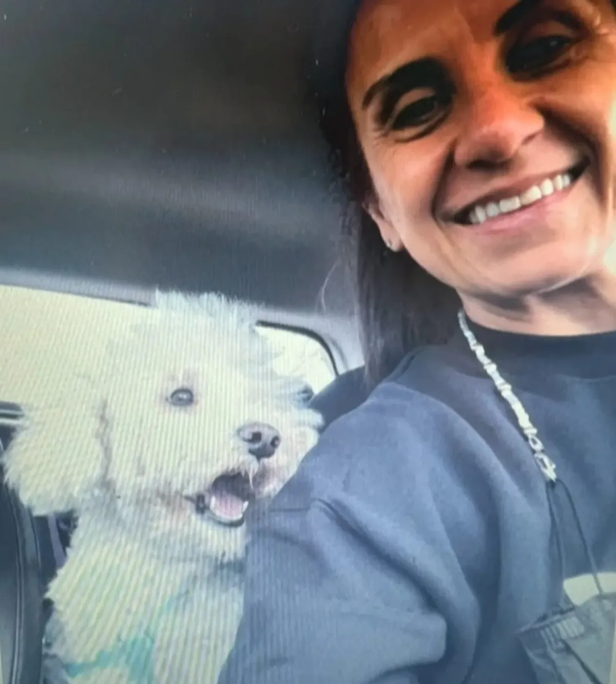 La familia de Alexis Mac Allister busca desesperadamente a León, el caniche toy que escapó de su casa tras el partido de la Selección ante Panamá.