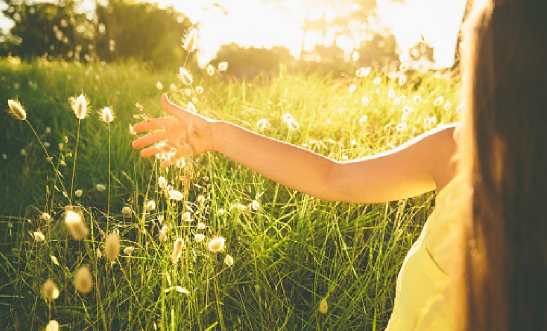 Por qué estar en contacto con la naturaleza hace bien