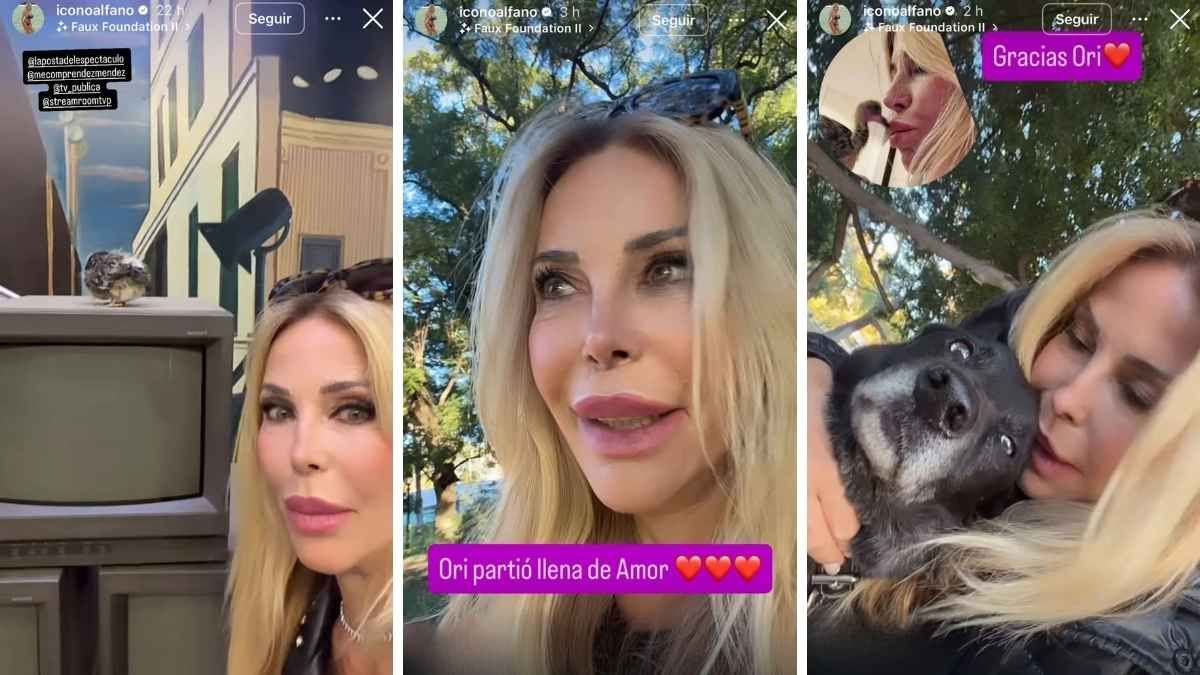 Graciela Alfano presentó a Ori en televisión y luego confirmó en redes sociales que la paloma murió “rodeada de amor”. Graciela Alfano presentó a Ori en televisión y luego confirmó en redes sociales que la paloma murió “rodeada de amor”.