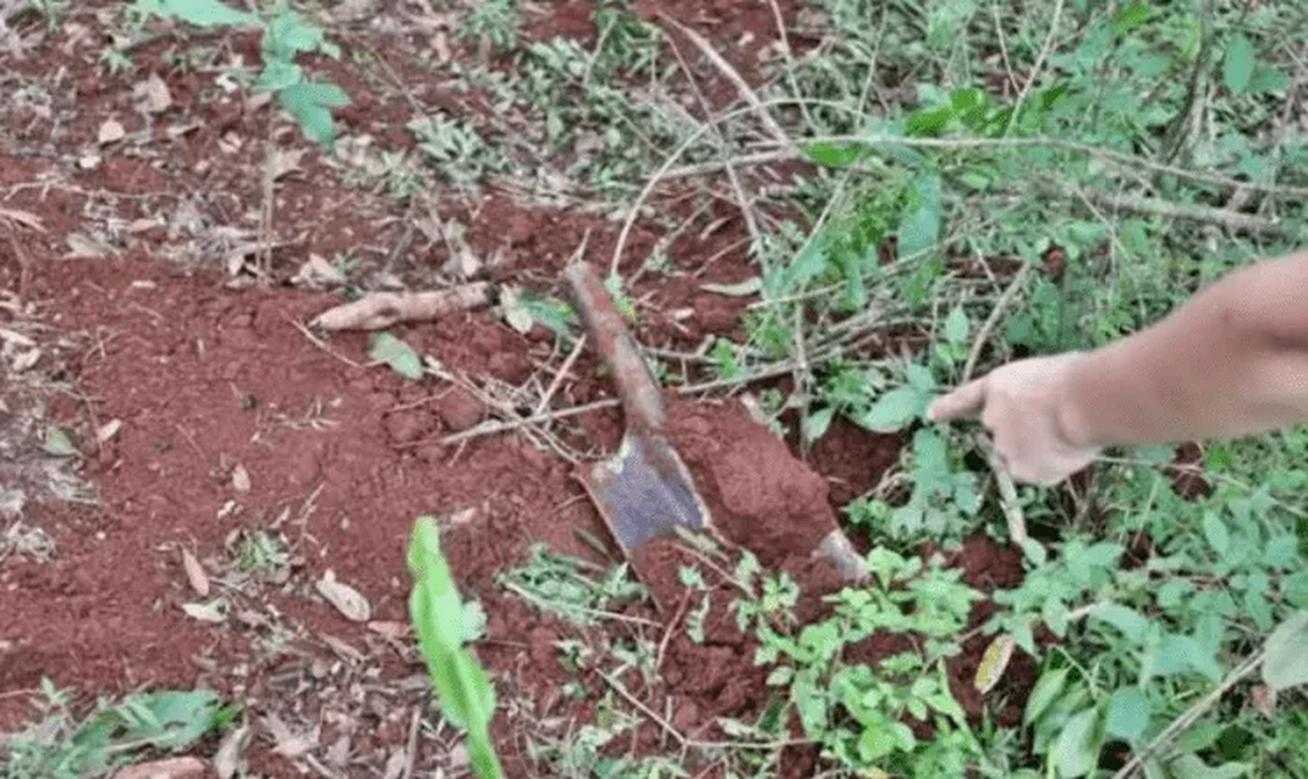 Un hombre abusó, encadenó e intentó enterrar viva a su novia de 17 años, en Misiones.