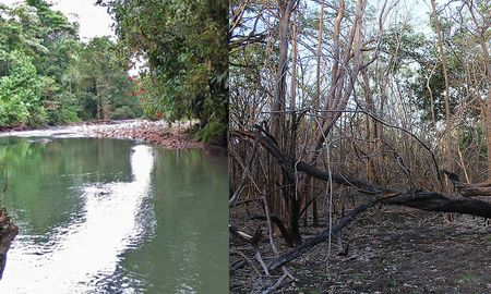Aire de Santa Fe | neotropico cambio climatico.jpg
