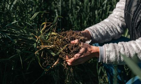 La herramienta busca reconocer a aquellos productores que aplican prácticas regenerativas. La herramienta busca reconocer a aquellos productores que aplican prácticas regenerativas.