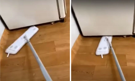 Video viral: estaba limpiando debajo de la heladera y se llevó el susto de su vida. Video viral: estaba limpiando debajo de la heladera y se llevó el susto de su vida.