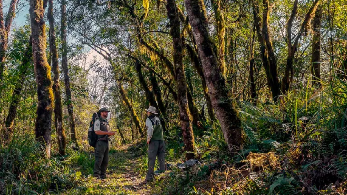 Escapada al Parque Nacional Aconquija en Tucumán, rodeado de ríos y paisajes únicos. Escapada al Parque Nacional Aconquija en Tucumán, rodeado de ríos y paisajes únicos.
