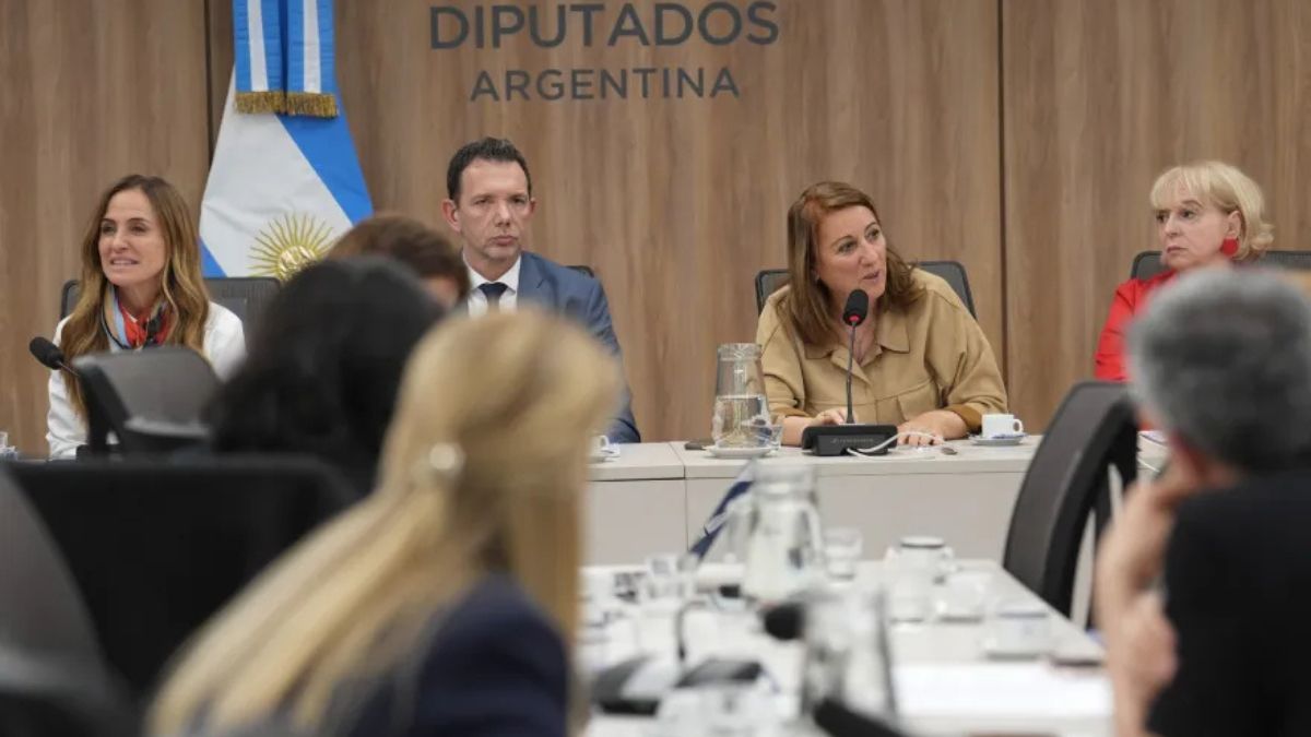 La diputada nacional por Santa Fe