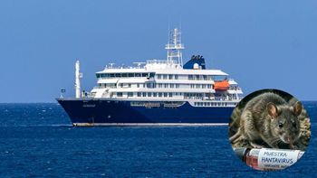 Alerta global: buscan a 29 pasajeros del crucero con hantavirus que bajaron antes de tiempo