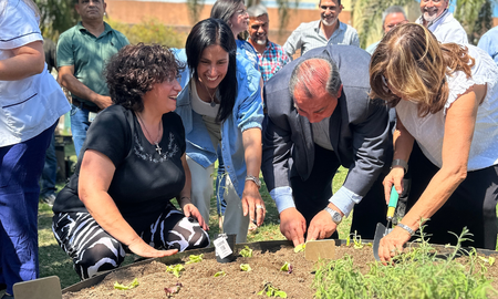 Con esta huerta, el Hospital de Niños da un paso significativo hacia la mejora de la calidad de vida de sus pacientes y sus familias. Con esta huerta, el Hospital de Niños da un paso significativo hacia la mejora de la calidad de vida de sus pacientes y sus familias.