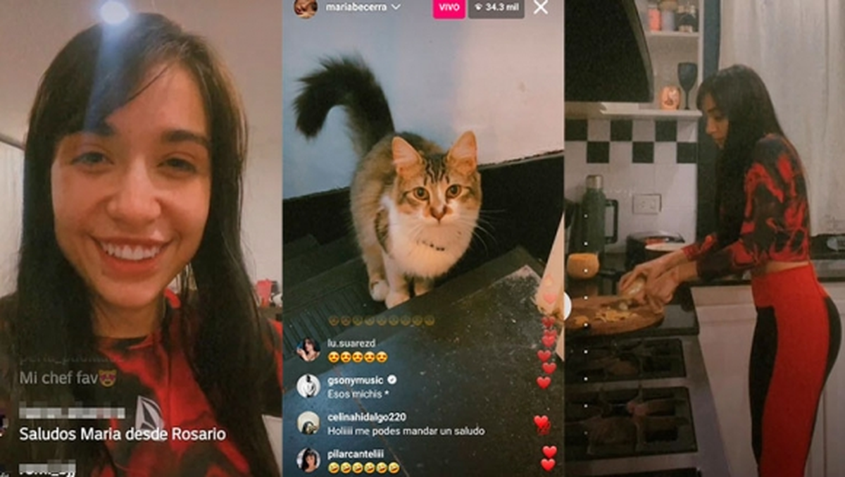 María Becerra cocinó en vivo y presentó a sus mascotas: muchos gatitos