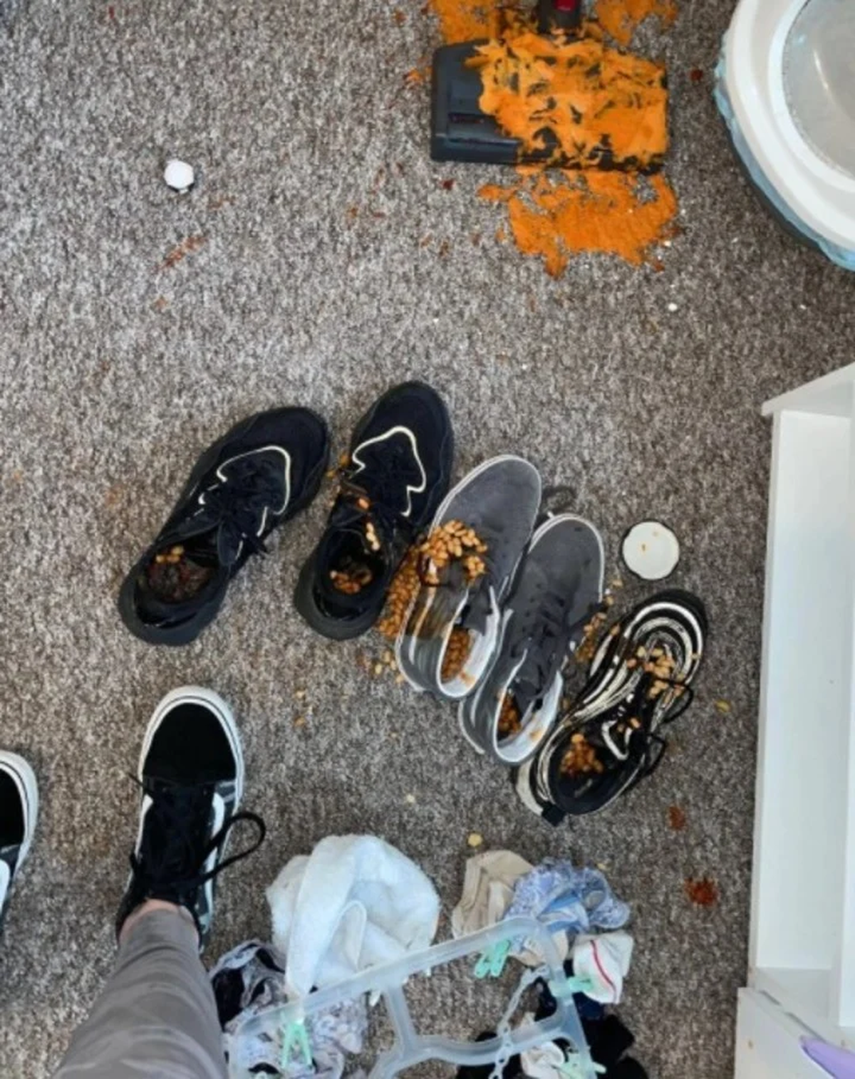 Los zapatos y la alfombra de la casa quedaron arruinados. 