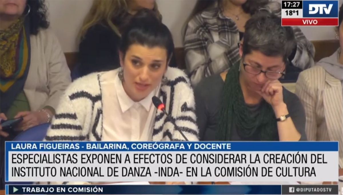 La Comisión de Cultura inició con expositores el debate sobre una Ley Nacional de Danza.