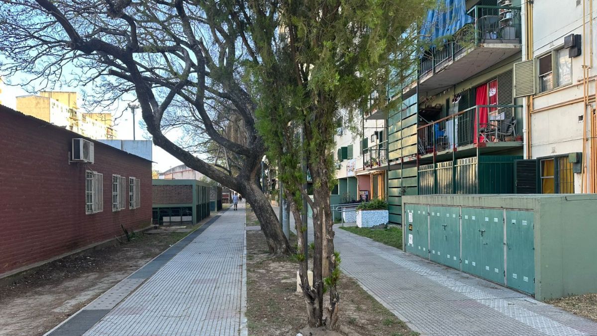 Además de pavimentación en una zona desmejorada, vecinos de El Pozo reclaman por falta de iluminación. Además de pavimentación en una zona desmejorada, vecinos de El Pozo reclaman por falta de iluminación.