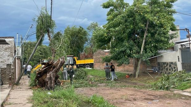 Barrio Nuevo Horizonte: sin luz ni internet por la caída de un árbol