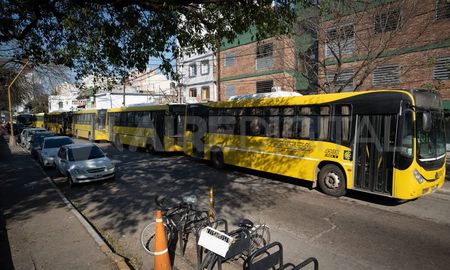 El paro de colectivos previsto para el miércoles 13 y jueves 14 en el interior del país quedó ratificado este lunes. El paro de colectivos previsto para el miércoles 13 y jueves 14 en el interior del país quedó ratificado este lunes.
