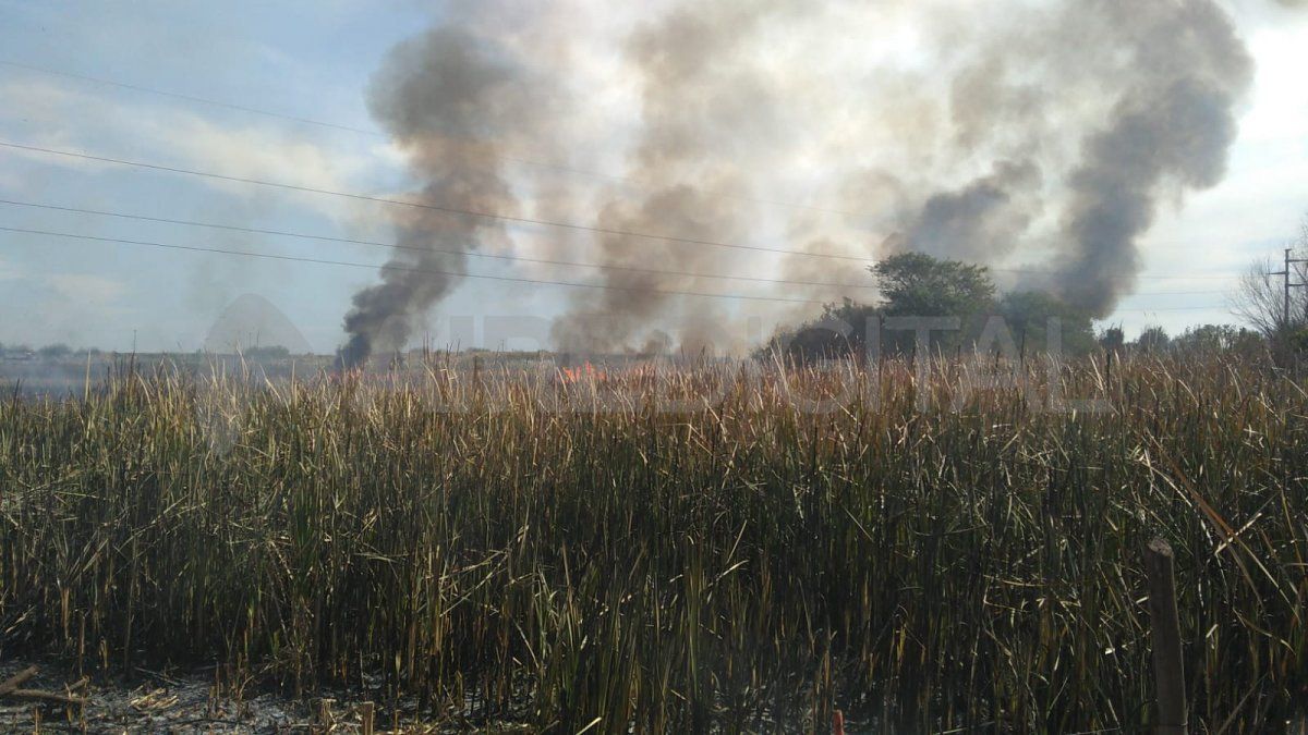 En las primeras horas de la tarde de este viernes