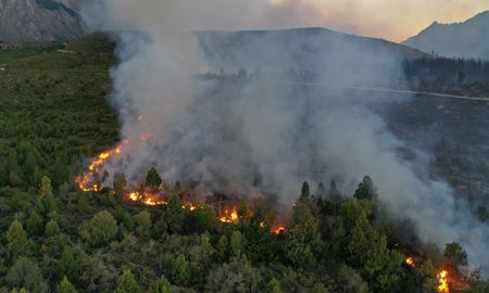Así se desplazaban las llamas en el incendio forestal que se inició en Cuesta del Ternero, provincia de Río Negro. Así se desplazaban las llamas en el incendio forestal que se inició en Cuesta del Ternero, provincia de Río Negro.