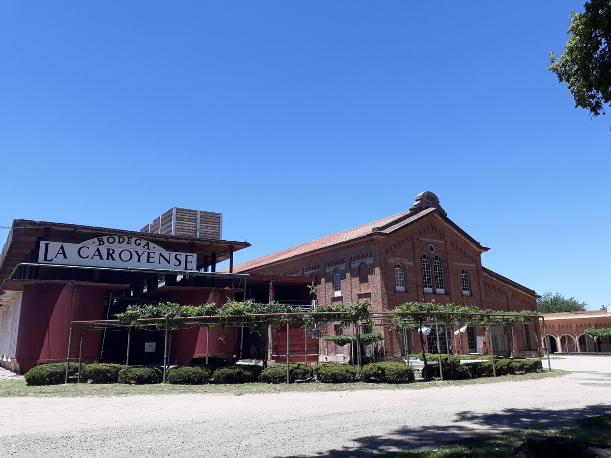 Recorrer vi&ntilde;edos y bodegas