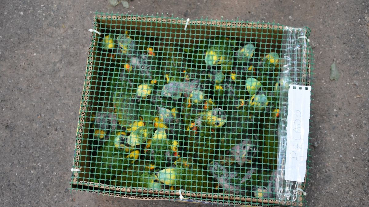 Ocurri&oacute; sobre la Ruta Nacional 34, a la altura de la localidad de Susana.&nbsp;