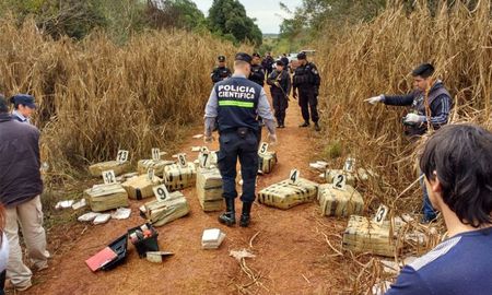 El cargamento fue encontrado por policía de Misiones en un camino rural. El cargamento fue encontrado por policía de Misiones en un camino rural.