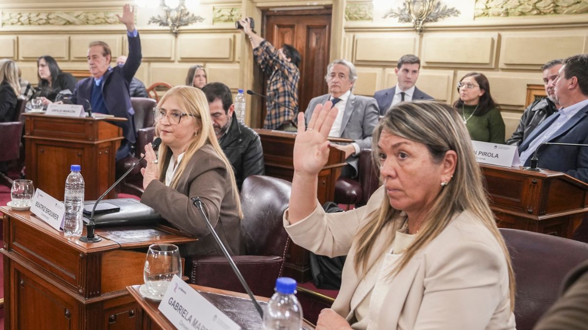 Los tres dictámenes de Unidos contaron con el acompañamiento del Frente de la Esperanza. A su vez, el convencional de Somos Vida y Libertad, Emiliano Peralta, apoyó con su firma los despachos respecto al Poder Legislativo y al Poder Ejecutivo. 