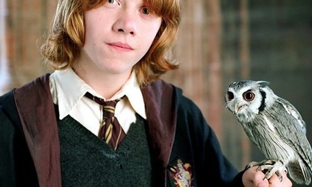Rupert Grint debutó en Instagram y reveló un detalle íntimo: Solo 10 años tarde Rupert Grint debutó en Instagram y reveló un detalle íntimo: Solo 10 años tarde