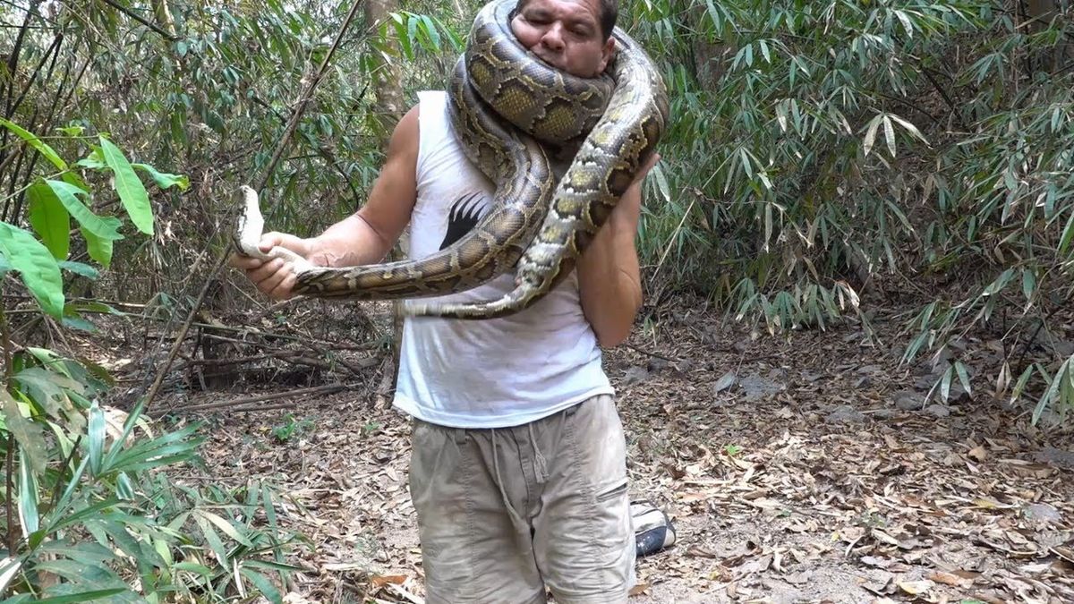 Una pitón salvaje casi mata a un famoso youtuber que se la enroscó en