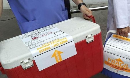 Santa Fe es la segunda provincia con más donantes de órganos del país, solo detrás de Buenos Aires, con un total de 79 procesos de donación este año, que han permitido la realización de 197 trasplantes en todo el país Santa Fe es la segunda provincia con más donantes de órganos del país, solo detrás de Buenos Aires, con un total de 79 procesos de donación este año, que han permitido la realización de 197 trasplantes en todo el país