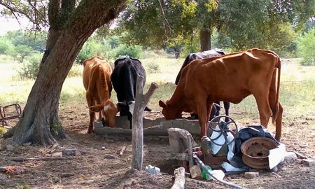 productores de vera exigen soluciones por el mal servicio electrico, el abigeato y la ruta 3 productores de vera exigen soluciones por el mal servicio electrico, el abigeato y la ruta 3