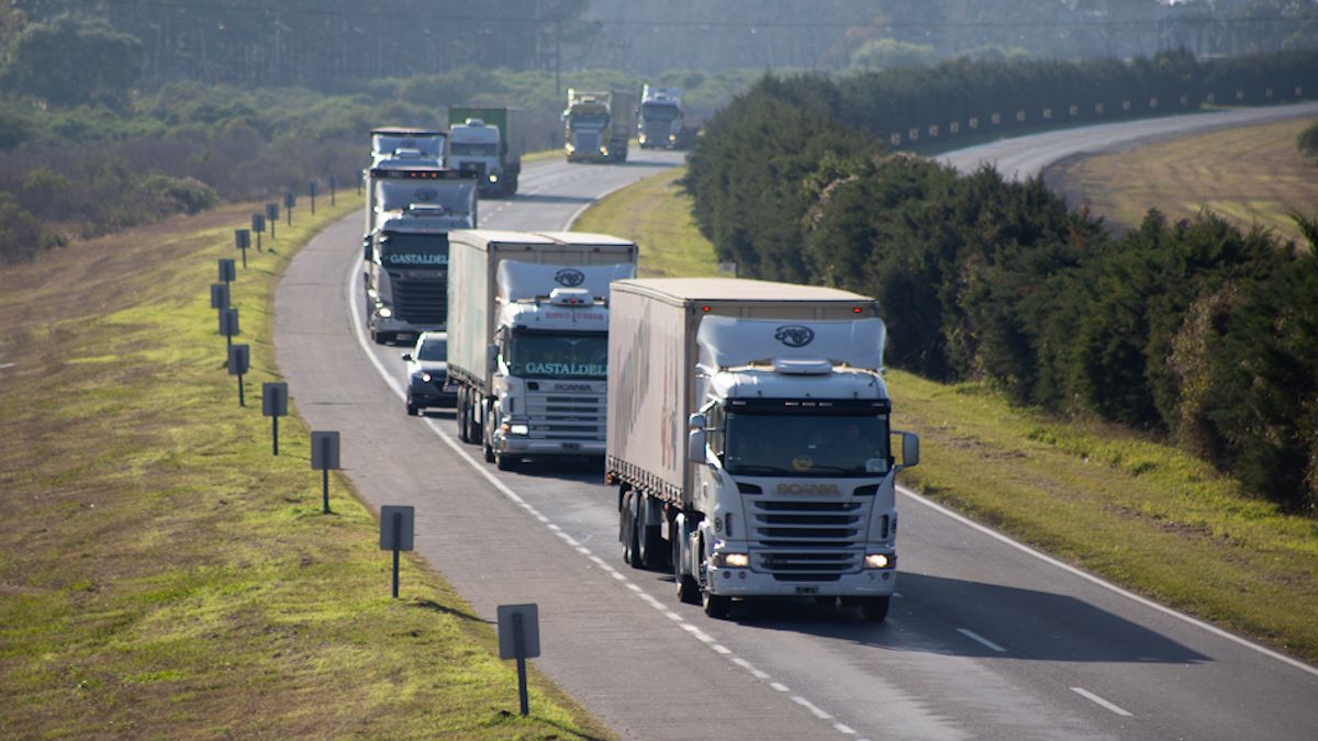 Transportistas independientes se movilizan en todo el país: El sector está en emergencia económica