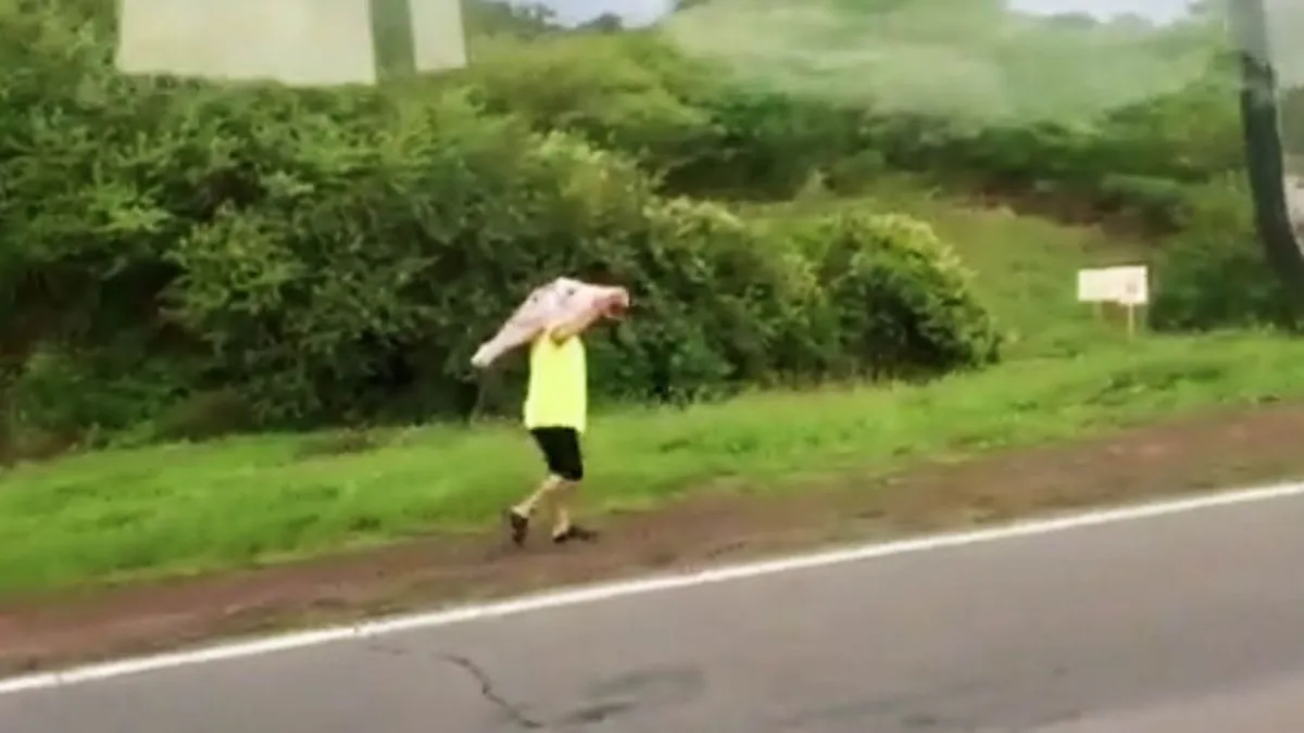 Así se terminaron llevaron la carne.