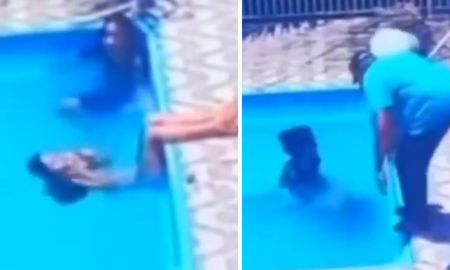 El hecho sucedió el 26 de diciembre en Brasil, pero se dio a conocer en los últimos días. El hecho sucedió el 26 de diciembre en Brasil, pero se dio a conocer en los últimos días.