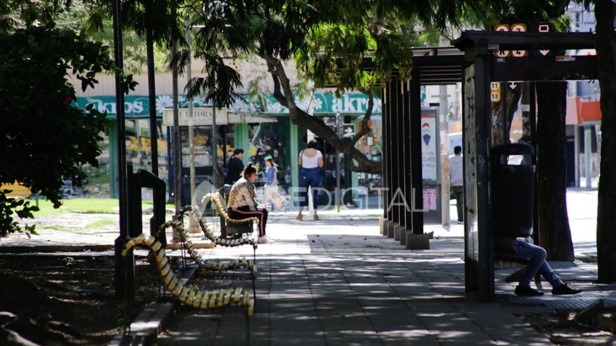 Acceso a la interrupción legal del embarazo y métodos anticonceptivos son servicios esenciales