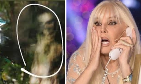 susana gimenez puso en venta su casa en miami: aseguran que un fantasma la sigue y esta bajo una maldicion susana gimenez puso en venta su casa en miami: aseguran que un fantasma la sigue y esta bajo una maldicion
