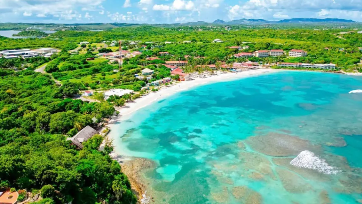 Nombrado por la arena de tonos rosados sobre la que se levantaba, el bar era un pilar fundamental de la comunidad local, hasta que el huracán Irma azotó la isla en 2017, cuando los aproximadamente 2.000 habitantes de Barbuda fueron evacuados a la isla vecina, Antigua. Nombrado por la arena de tonos rosados sobre la que se levantaba, el bar era un pilar fundamental de la comunidad local, hasta que el huracán Irma azotó la isla en 2017, cuando los aproximadamente 2.000 habitantes de Barbuda fueron evacuados a la isla vecina, Antigua.