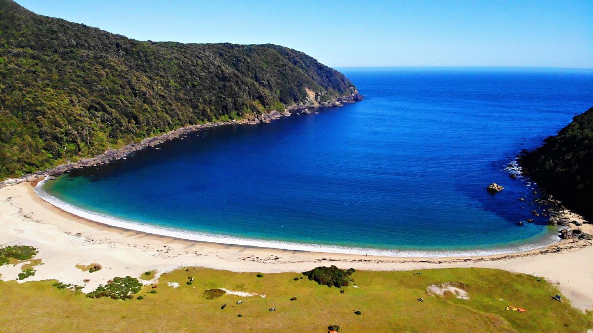 La falta de rutas vehiculares directas permitió que Caleta Cóndor conserve su biodiversidad intacta, convirtiéndose en uno de los pocos refugios de la costa chilena sin intervención urbana. La falta de rutas vehiculares directas permitió que Caleta Cóndor conserve su biodiversidad intacta, convirtiéndose en uno de los pocos refugios de la costa chilena sin intervención urbana.