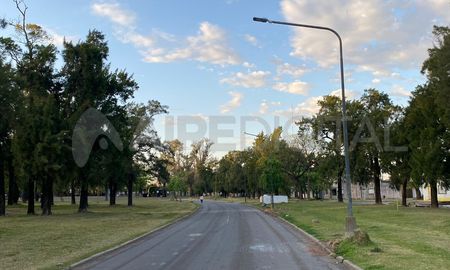 Este miércoles por la mañana, las luminarias recién colocadas en la zona noroeste del pulmón verde aparecieron vandalizadas una vez más. Este miércoles por la mañana, las luminarias recién colocadas en la zona noroeste del pulmón verde aparecieron vandalizadas una vez más.