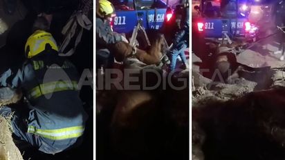 Video: así fue el complejo rescate de un caballo que cayó a una fosa en Rosario