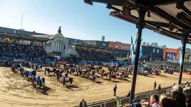 Comenzó la Expo Rural 2026: con un mega despliegue, abrió sus puertas la vidriera del campo argentino Comenzó la Expo Rural 2026: con un mega despliegue, abrió sus puertas la vidriera del campo argentino