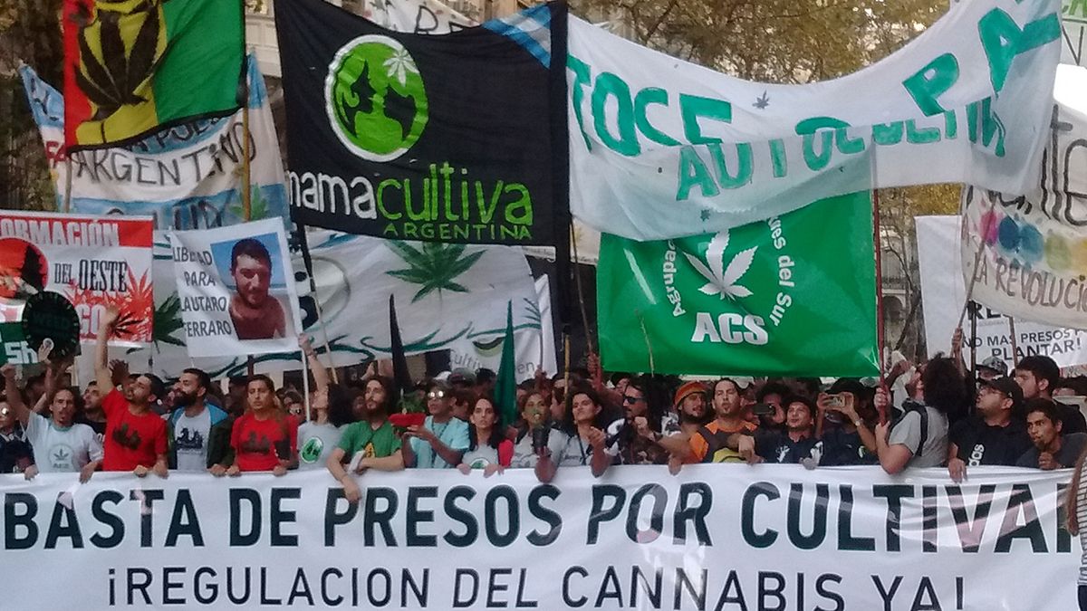 La semana del cannabis tendrá su cierre el próximo sábado
