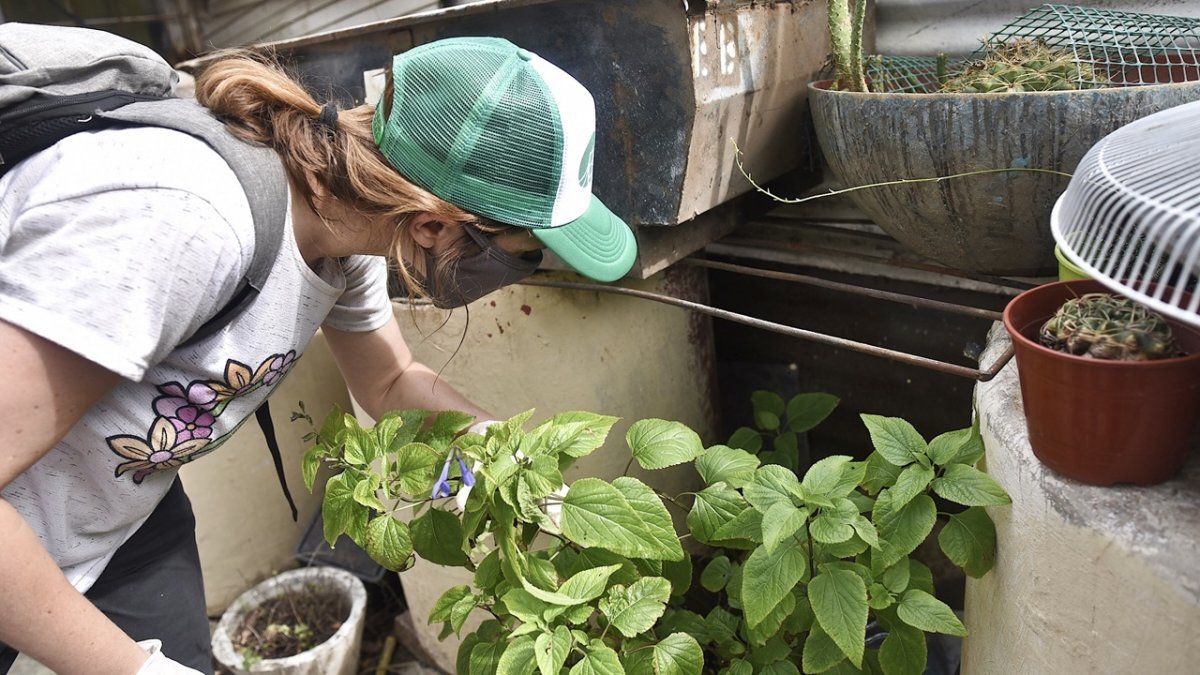 La Municipalidad de Santa Fe insiste en continuar con el descacharrado para la prevención del dengue.