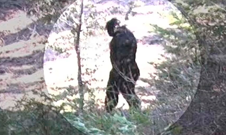 “No estoy diciendo que sea un Bigfoot, pero mucho de lo que está sucediendo en esto me dice que es algo que se mueve a través del río, empuja una estela, y parece estar cargando a un bebé” “No estoy diciendo que sea un Bigfoot, pero mucho de lo que está sucediendo en esto me dice que es algo que se mueve a través del río, empuja una estela, y parece estar cargando a un bebé”