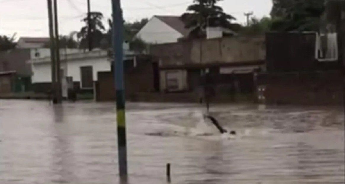 Video: así nadaba un vecino de Mar del Plata en las calles inundadas tras el temporal