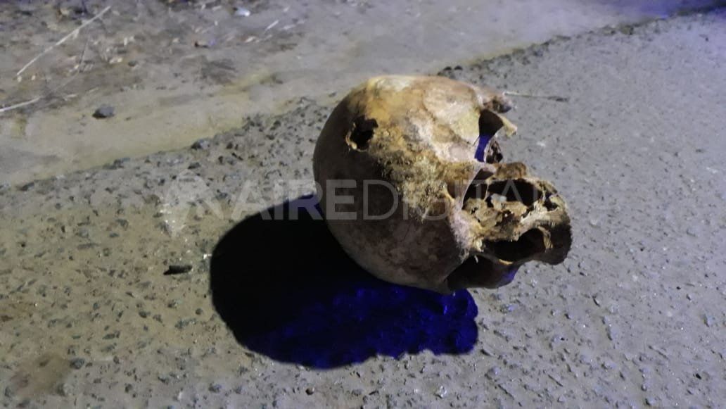 En un principio, se cree que el cráneo fue encontrado por personas en situación de calle que se acercaron a revisar la basura.