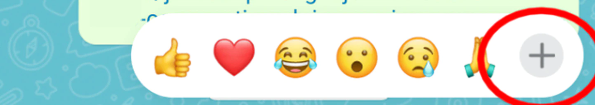 Se puede reaccionar a un mensaje con cualquier emoji de la lista.