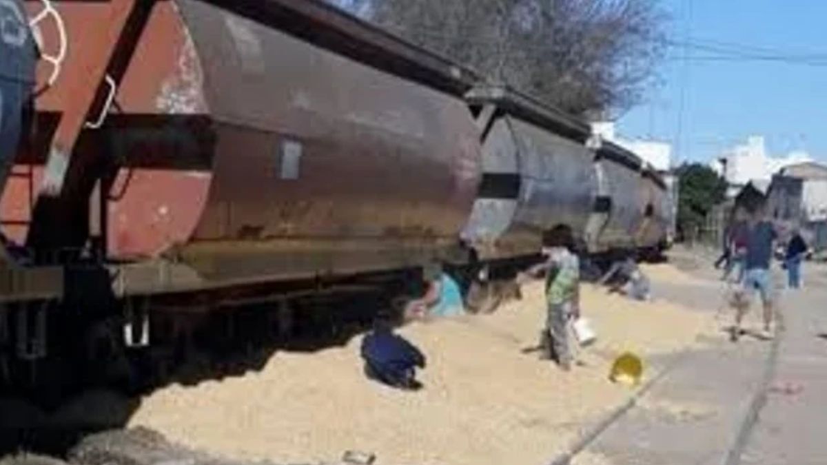 Saquearon un tren en Santa Fe y se robaron cerca de mil toneladas de soja