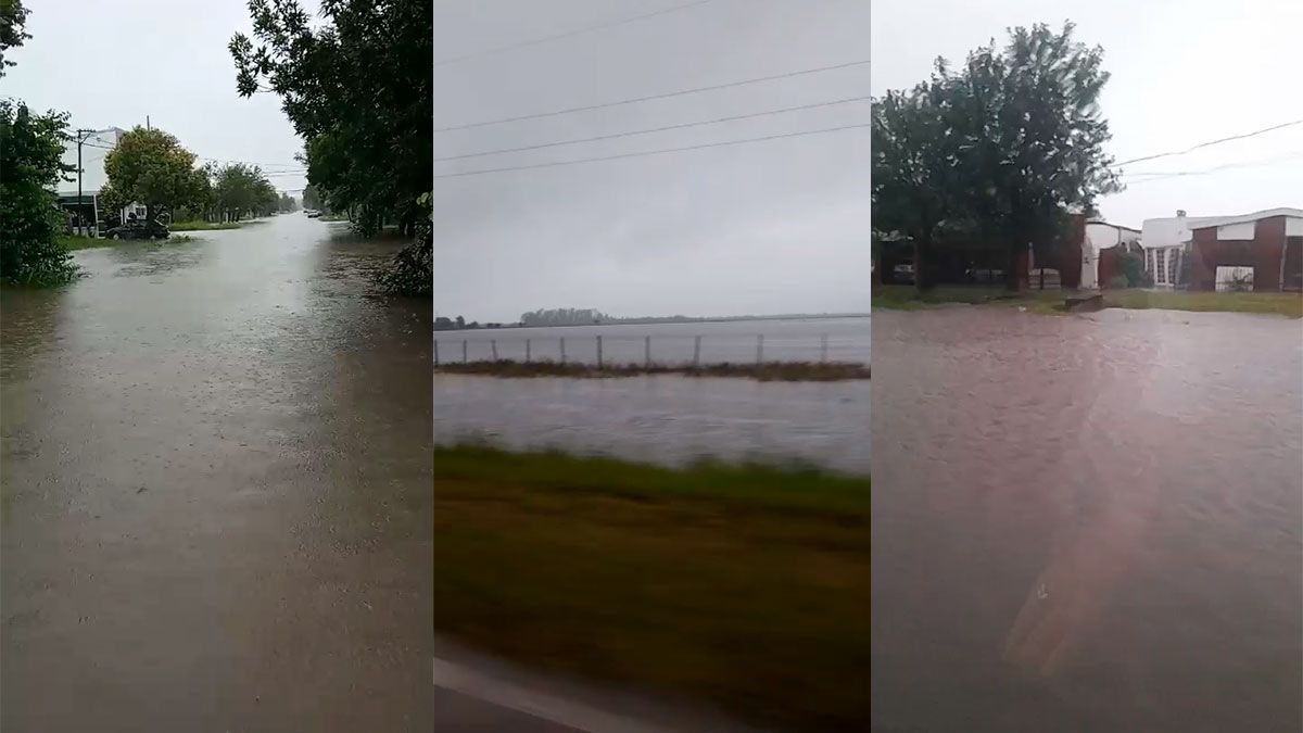 El norte de Santa Fe bajo agua: Reconquista y Avellaneda anegadas por las últimas lluvias.