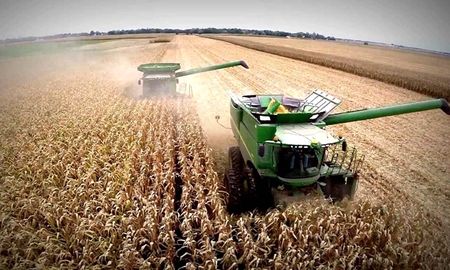Los precios mundiales de las commodities de alimentos continuaron en alza en septiembre. Los precios mundiales de las commodities de alimentos continuaron en alza en septiembre.