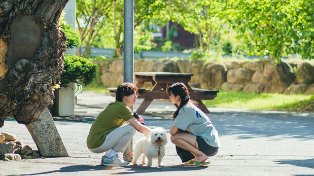 Aire de Santa Fe | La imperdible serie coreana de Netflix con 12 episodios llenos de drama y romance que te va a encantar